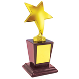 Стела "Звезда"; 9х8х19