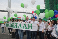 Транспарант 50х200 см, шелк, с карманами Транспарант 50х200 см, шелк, с карманами