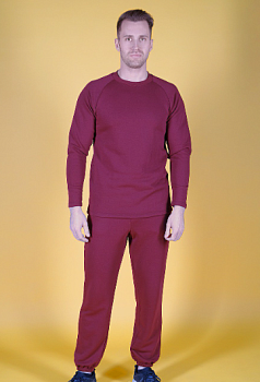 Брюки Хит из футера с начесом мужские, однотонные